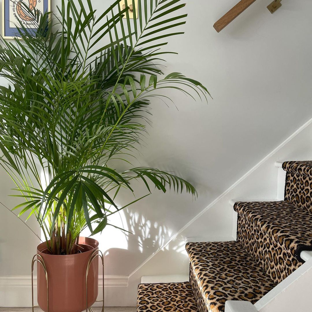 Safari - Ocelot Multicoloured Stairs