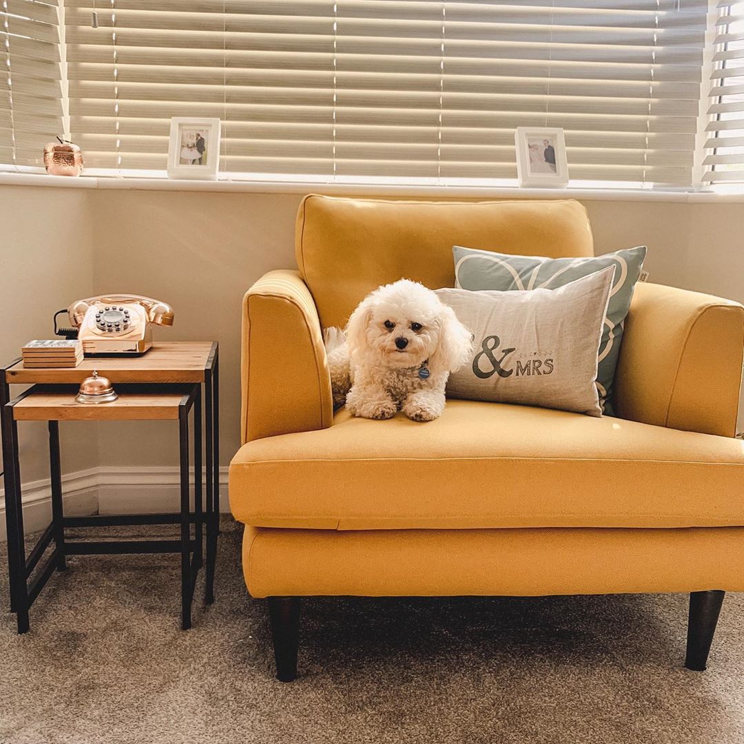 Long Island Carpet Grey Living Room
