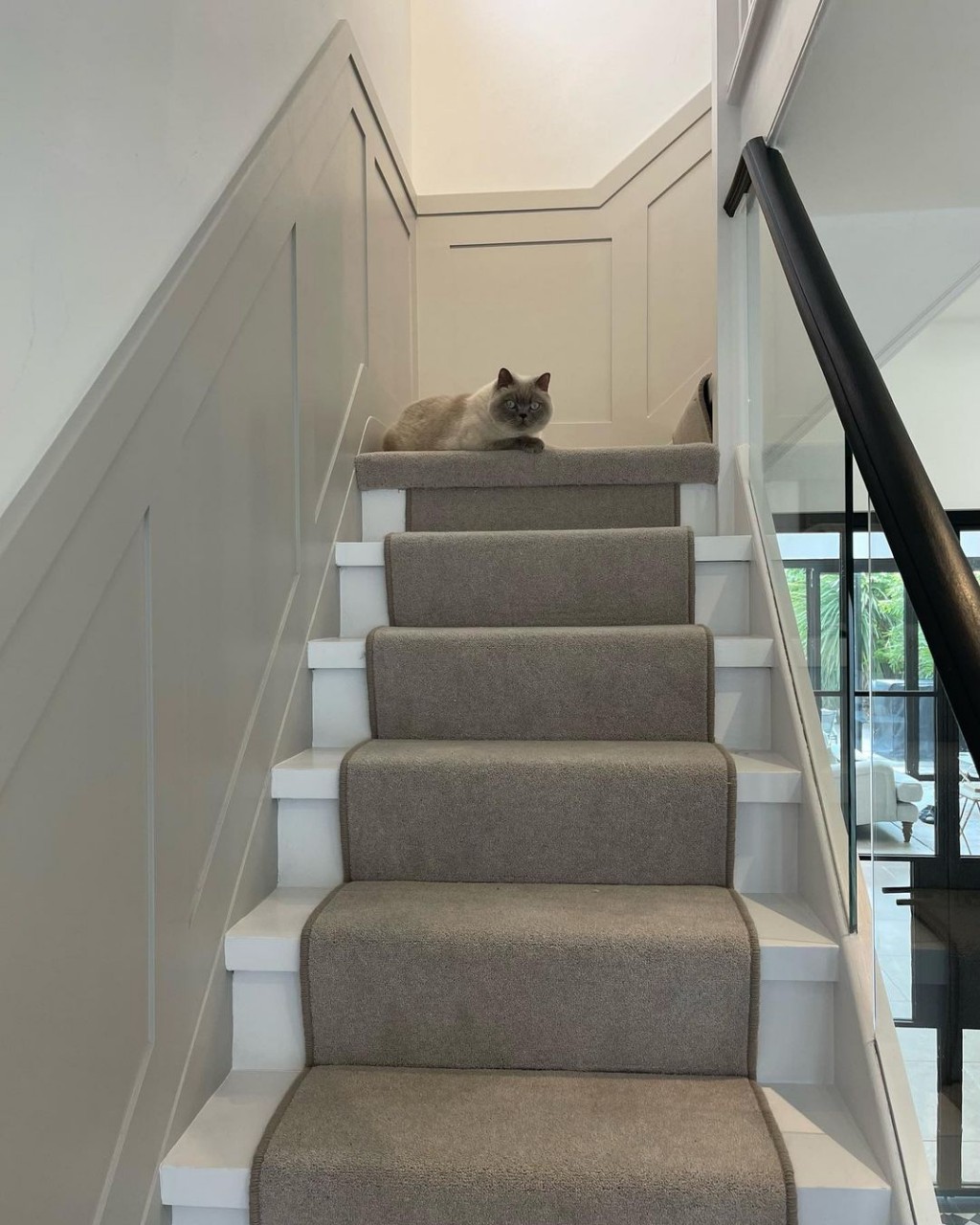 Carpet for Stairs | New Stair Carpets for Sale | Tapi - page 11