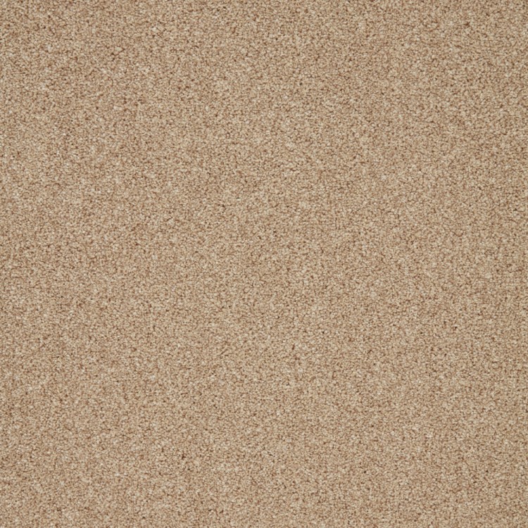 Montreal Warm Sand