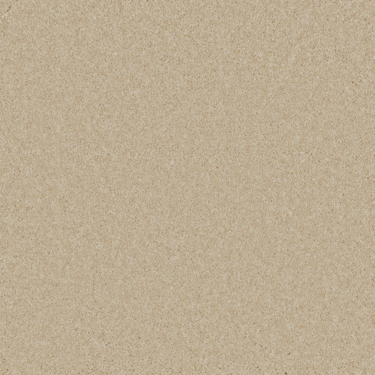Bisque