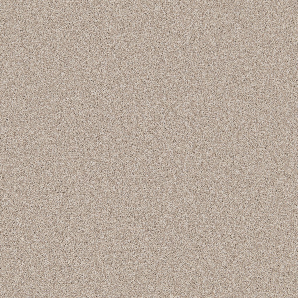 Buy Beige Carpets Online | Upto 50% Off | Tapi Carpet & Flooring - page 4