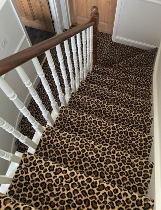 leopard print stairs carpet