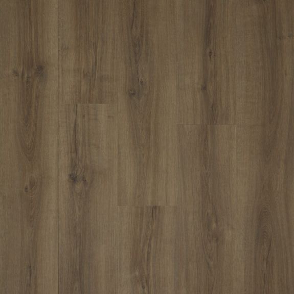 Kiri - Rigel Dryback