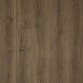 Tapi Kiri Rigel Dryback