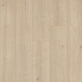 Top down Panache Pinna