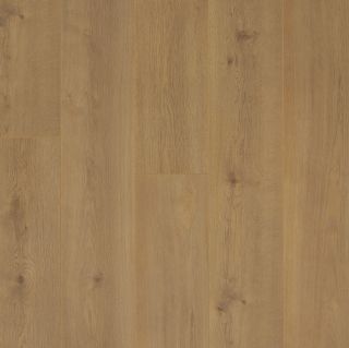 Panache Elan Top Down