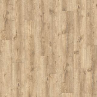 Orla - Bella Dryback