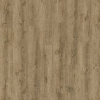 Orla - Arcana Dryback swatch image