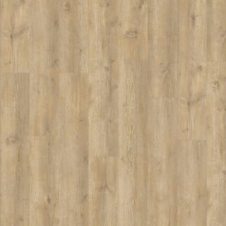 Montilla Planks - Bowie