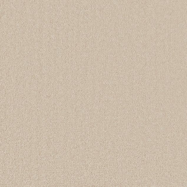 Sand Swatch