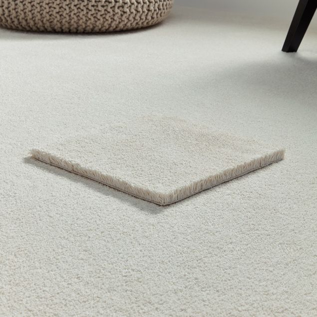 Malibu - Cross Section