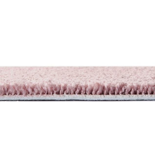 Goldfinch - Side Shot