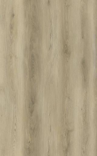 Bermuda Planks Sargasso