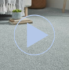 Lazio carpet video 