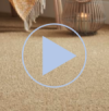Salerno carpet video 