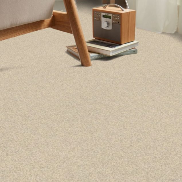 Canvas - Roomvo room