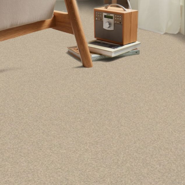 Parchment - Roomvo room