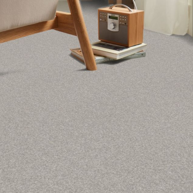 Titanium - Roomvo room