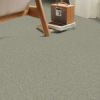 Sage - Roomvo room