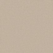 Carpetright Somerset Dune Carpet