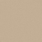 Woodstock Latte Carpet