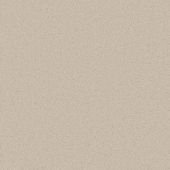 Woodstock Shell Carpet