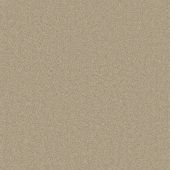 First Impressions Humble Carpet