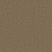 First Impressions Down to Earth Carpet