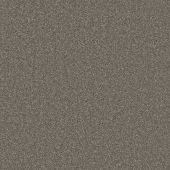 First Impressions Chatterbox Carpet