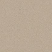 First Impressions Patient Carpet