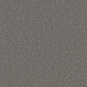 Aston Platinum Carpet