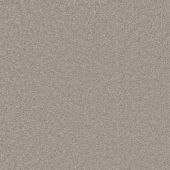 Superb Silver Carpet