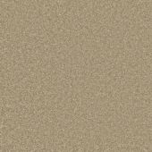 Superb Lichen Carpet