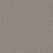 Superb Gunmetal Carpet