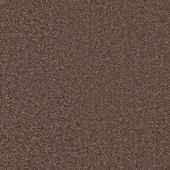 Superb Cocoa Carpet