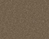 Ottawa Oatmeal Carpet