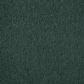 Westex Penultima Malachite Carpet