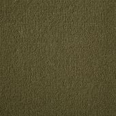 Westex Prestige Pecan Carpet