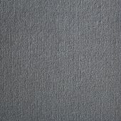 Westex Prestige Storm Carpet