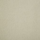 Westex Prestige Ermine Carpet