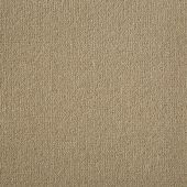 Westex Supreme Barley Carpet