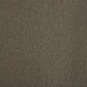 Westex Supreme Praline Carpet