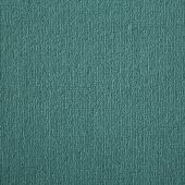 Westex Supreme Fern Carpet