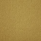 Westex Ultima Ochre Carpet