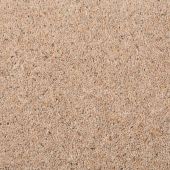 Swaledale Forest Fern Carpet