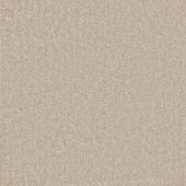 Carpetright Inscription Gazelle Carpet