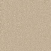 Carpetright Inscription Sandstone Carpet