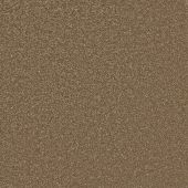 Insignia Chestnut Carpet