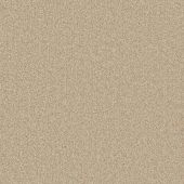 Insignia Cream Carpet